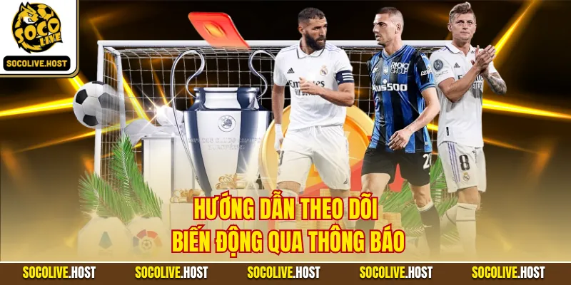 Hướng dẫn theo dõi biến động qua thông báo
