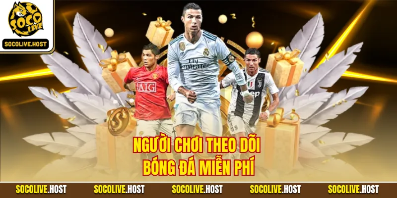 Người chơi theo dõi bóng đá miễn phí