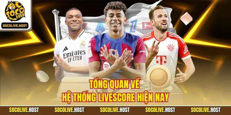 Tổng quan về hệ thống livescore hiện nay